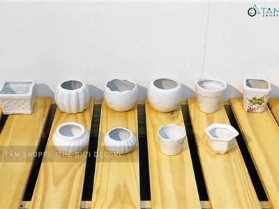 Chậu gốm nhỏ màu trắng Số 07 (nhiều kiểu)